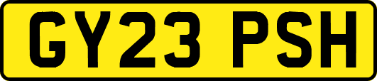 GY23PSH