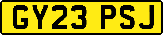 GY23PSJ