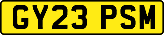 GY23PSM