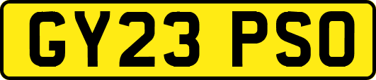 GY23PSO