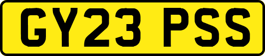 GY23PSS