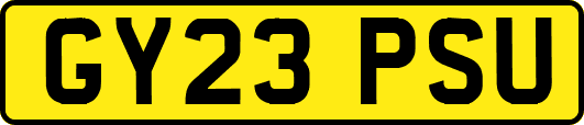GY23PSU
