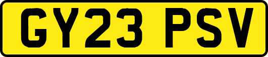 GY23PSV