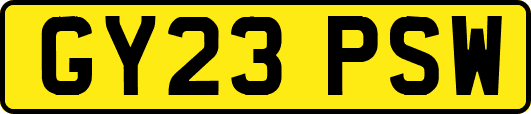 GY23PSW