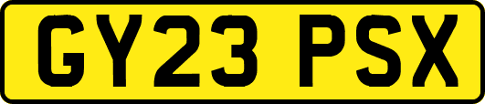 GY23PSX