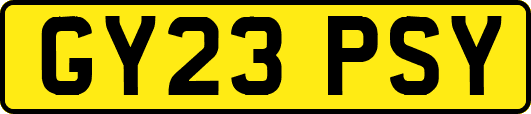 GY23PSY