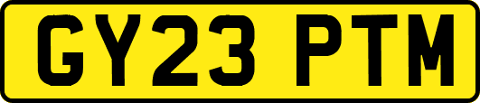 GY23PTM