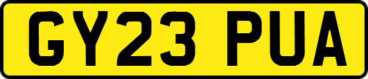 GY23PUA