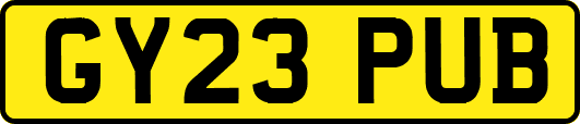 GY23PUB