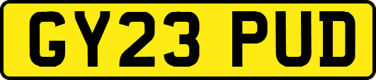 GY23PUD