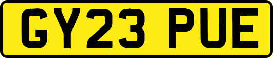 GY23PUE