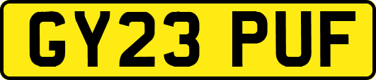 GY23PUF