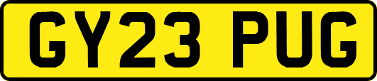 GY23PUG