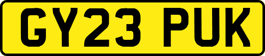 GY23PUK