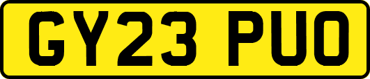 GY23PUO