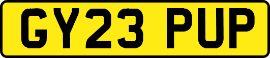 GY23PUP