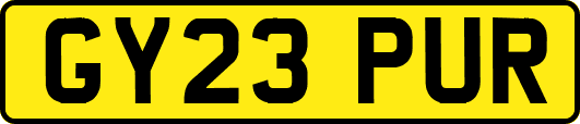 GY23PUR