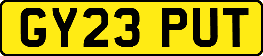 GY23PUT