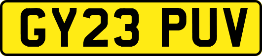 GY23PUV