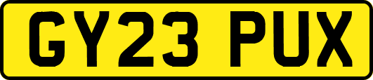 GY23PUX