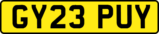 GY23PUY