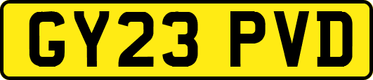 GY23PVD
