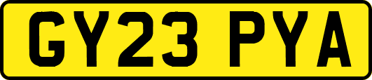GY23PYA
