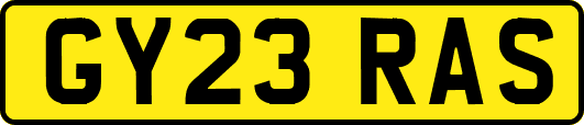 GY23RAS