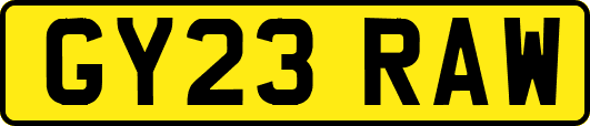 GY23RAW