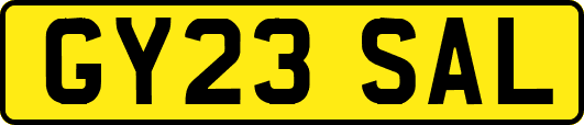 GY23SAL