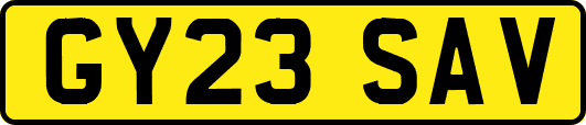 GY23SAV
