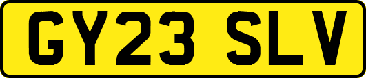 GY23SLV