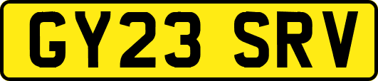 GY23SRV