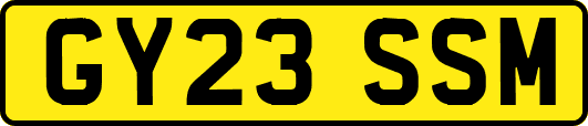 GY23SSM
