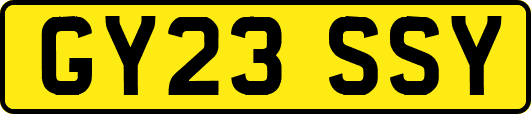 GY23SSY
