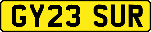 GY23SUR