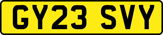 GY23SVY