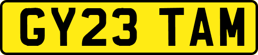GY23TAM