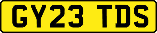 GY23TDS