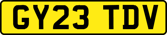 GY23TDV