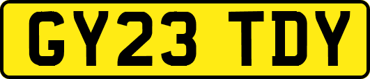 GY23TDY