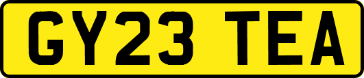 GY23TEA