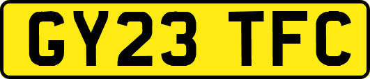 GY23TFC