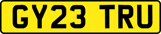 GY23TRU