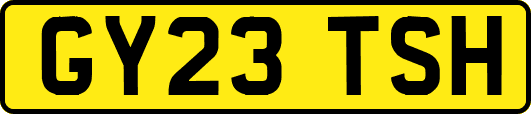 GY23TSH
