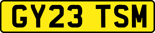 GY23TSM