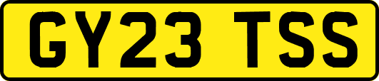 GY23TSS