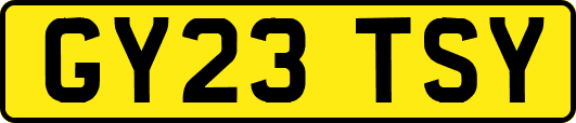 GY23TSY