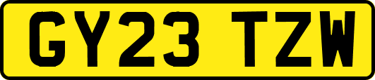 GY23TZW