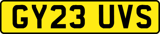 GY23UVS